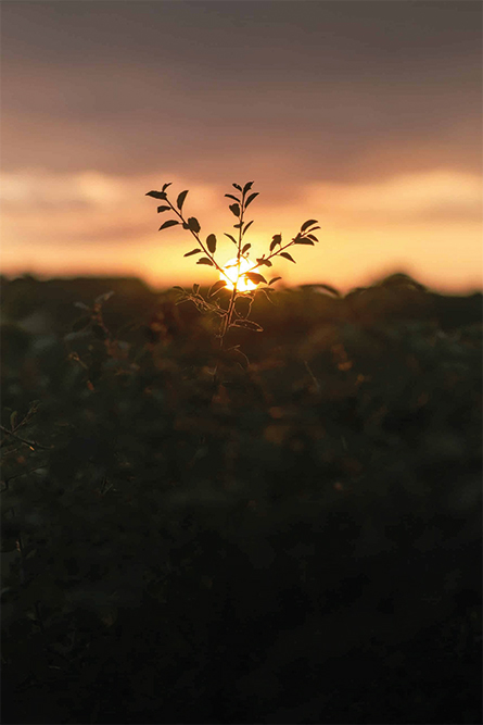 christellephoto3